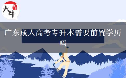 廣東成人高考專升本需要前置學歷嗎