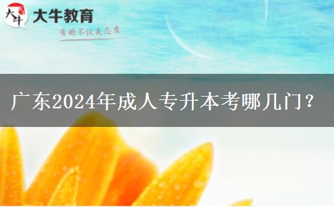 廣東2024年成人專升本考哪幾門？