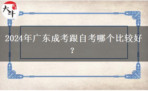 2024年廣東成考跟自考哪個比較好？