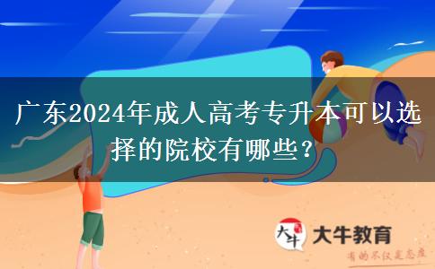 廣東2024年成人高考專升本可以選擇的院校有哪些？