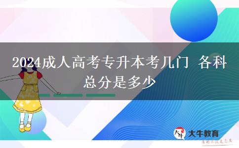 2024成人高考專升本考幾門 各科總分是多少