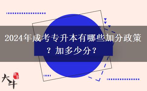 2024年成考專升本有哪些加分政策？加多少分？