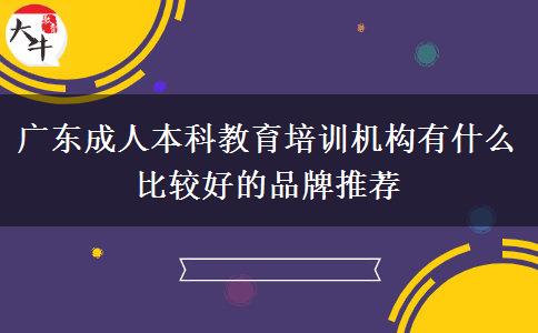 廣東成人本科教育培訓(xùn)機(jī)構(gòu)有什么比較好的品牌推薦