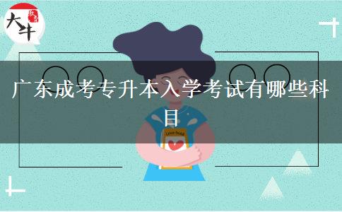 廣東成考專升本入學(xué)考試有哪些科目