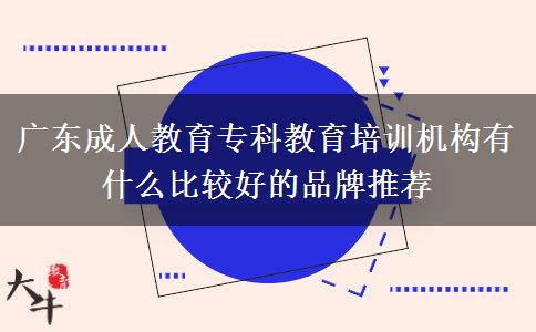 廣東成人教育?？平逃嘤?xùn)機(jī)構(gòu)有什么比較好的品牌推薦