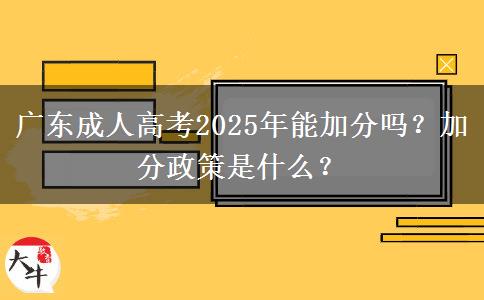 廣東成人高考2025年能加分嗎？加分政策是什么？