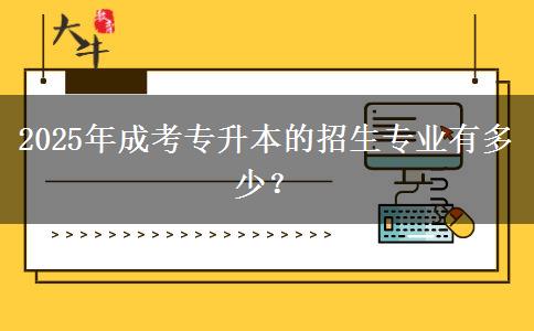 2025年成考專升本的招生專業(yè)有多少？