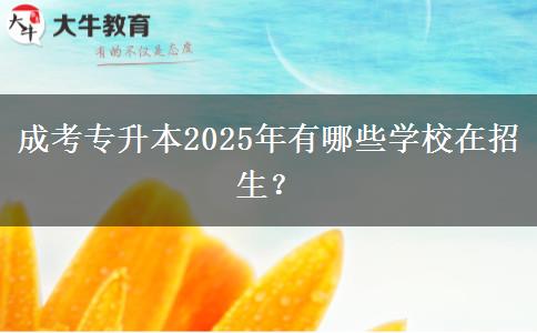 成考專升本2025年有哪些學(xué)校在招生？